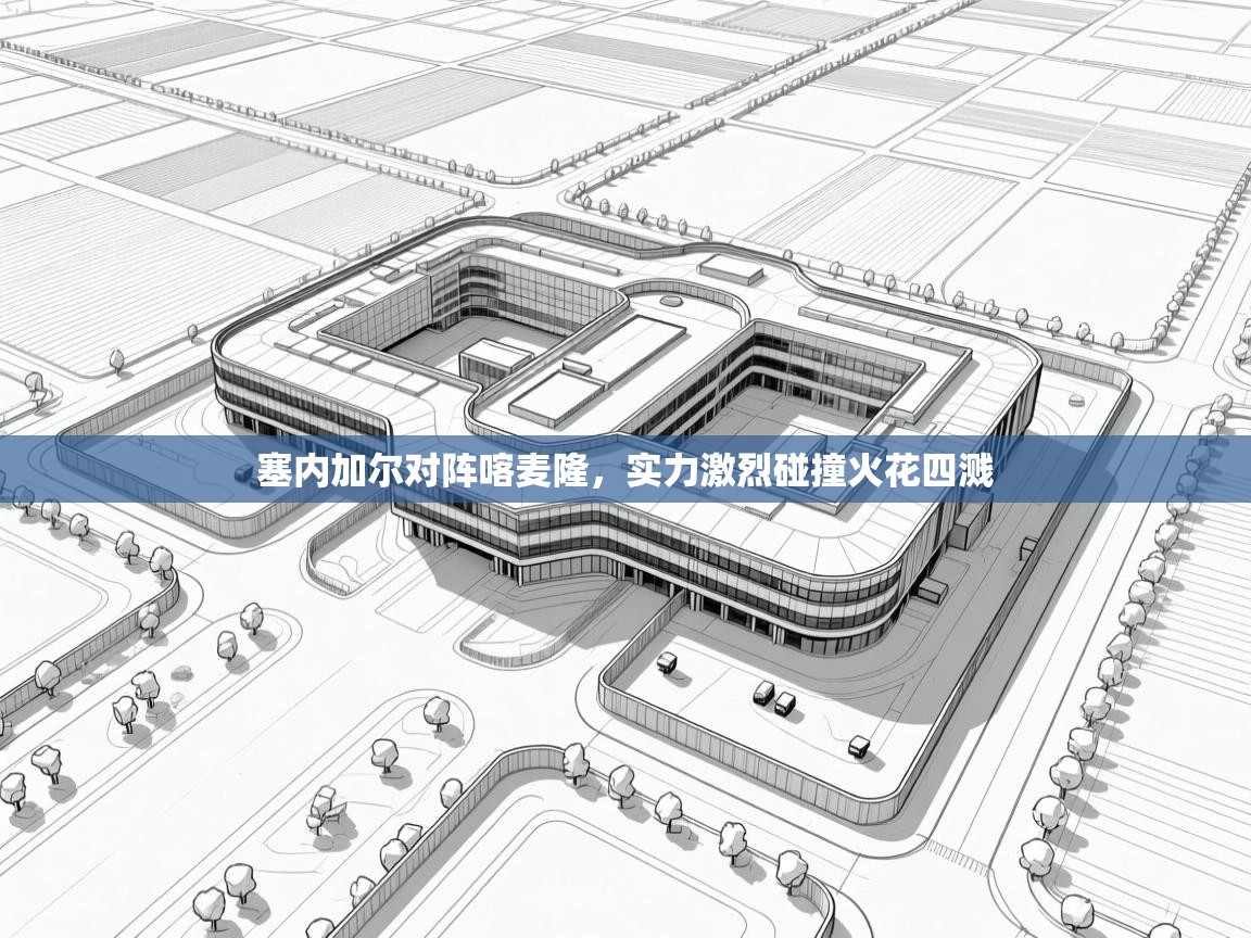 塞内加尔对阵喀麦隆,实力激烈碰撞火花四溅 第1张