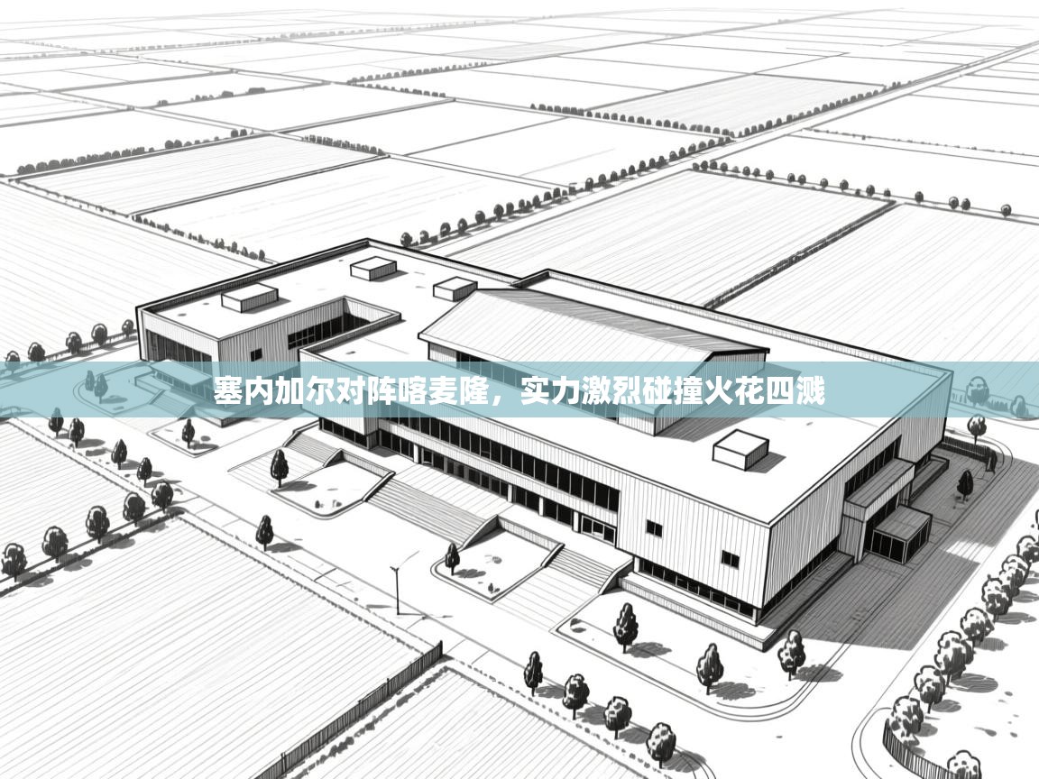 塞内加尔对阵喀麦隆,实力激烈碰撞火花四溅 第2张