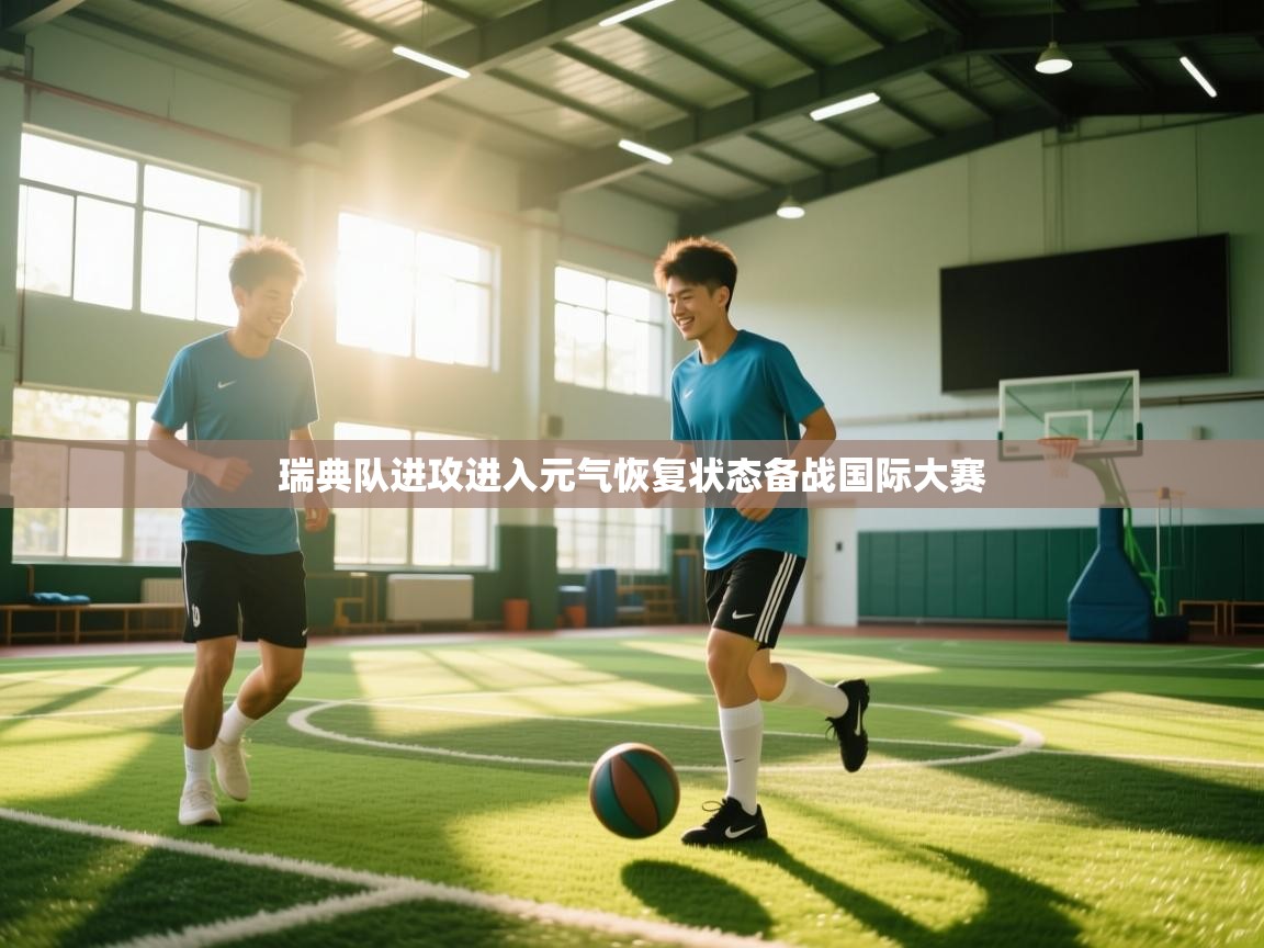 瑞典队进攻进入元气恢复状态备战国际大赛  第1张