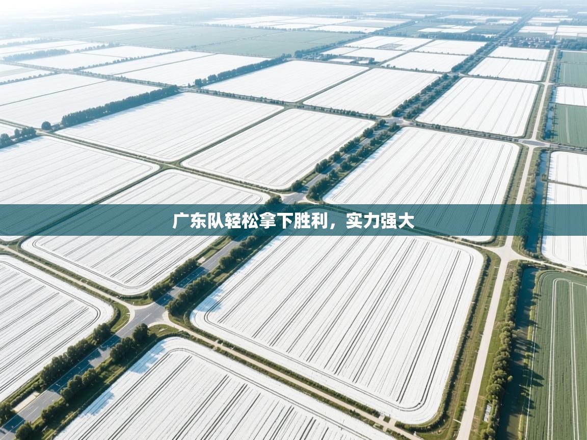 广东队轻松拿下胜利，实力强大  第1张