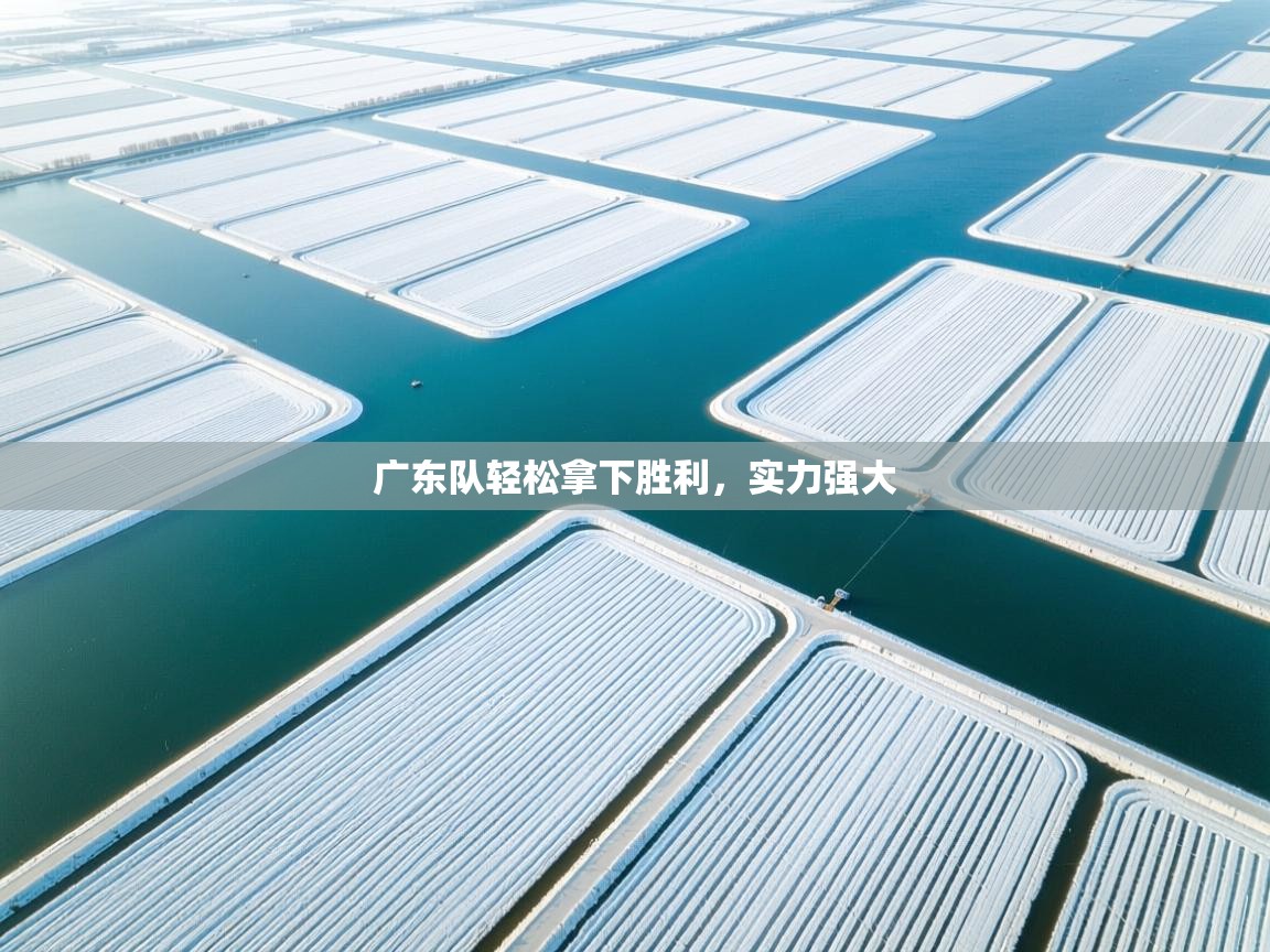 广东队轻松拿下胜利，实力强大  第2张